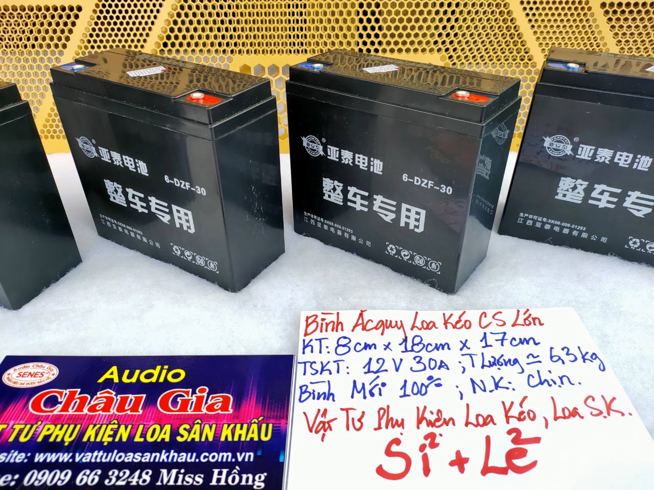 BÌNH ẮC QUY LOA KÉO CÔNG SUẤT LỚN AUDIO CHÂU GIA