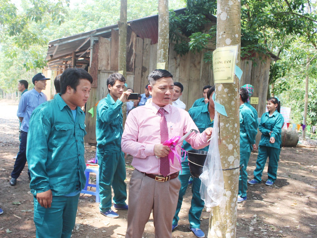 Khơi dòng vàng trắng ở Tây Bắc