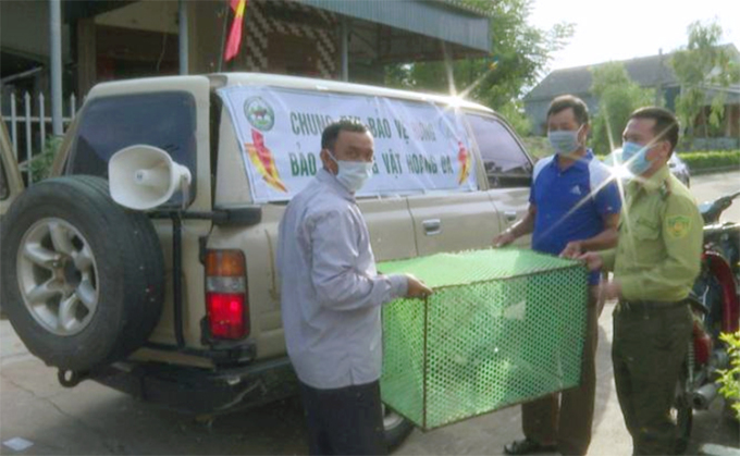 Bắt được trăn đất khi đi biển